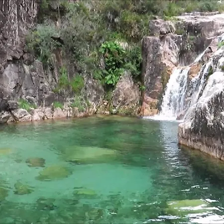 River - Na Natureza *