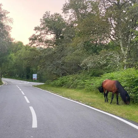River - Na Natureza * Gerês