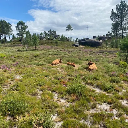 River - Na Natureza Апартаменты *