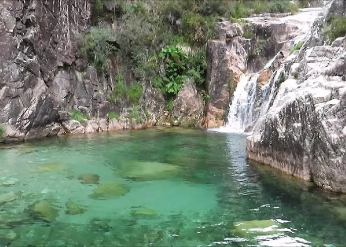 River - Na Natureza *