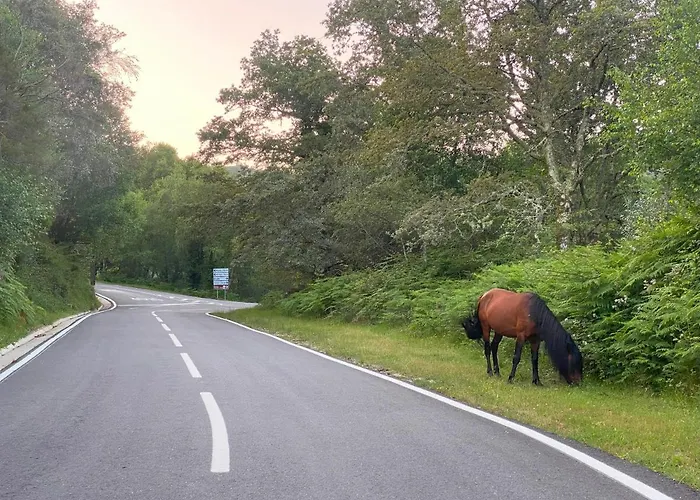 River - Na Natureza * 제어스