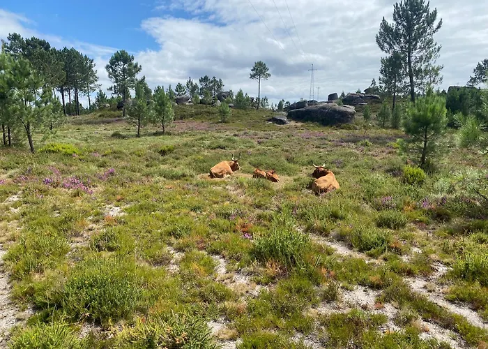 River - Na Natureza Appartement *